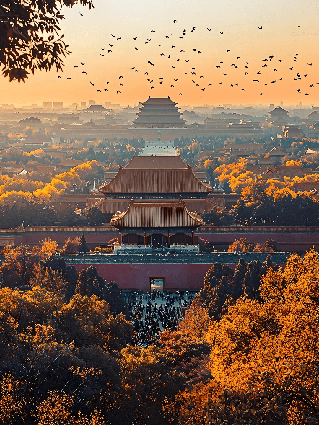 🏮8‑Day Journey across Two Great Ancient Capitals